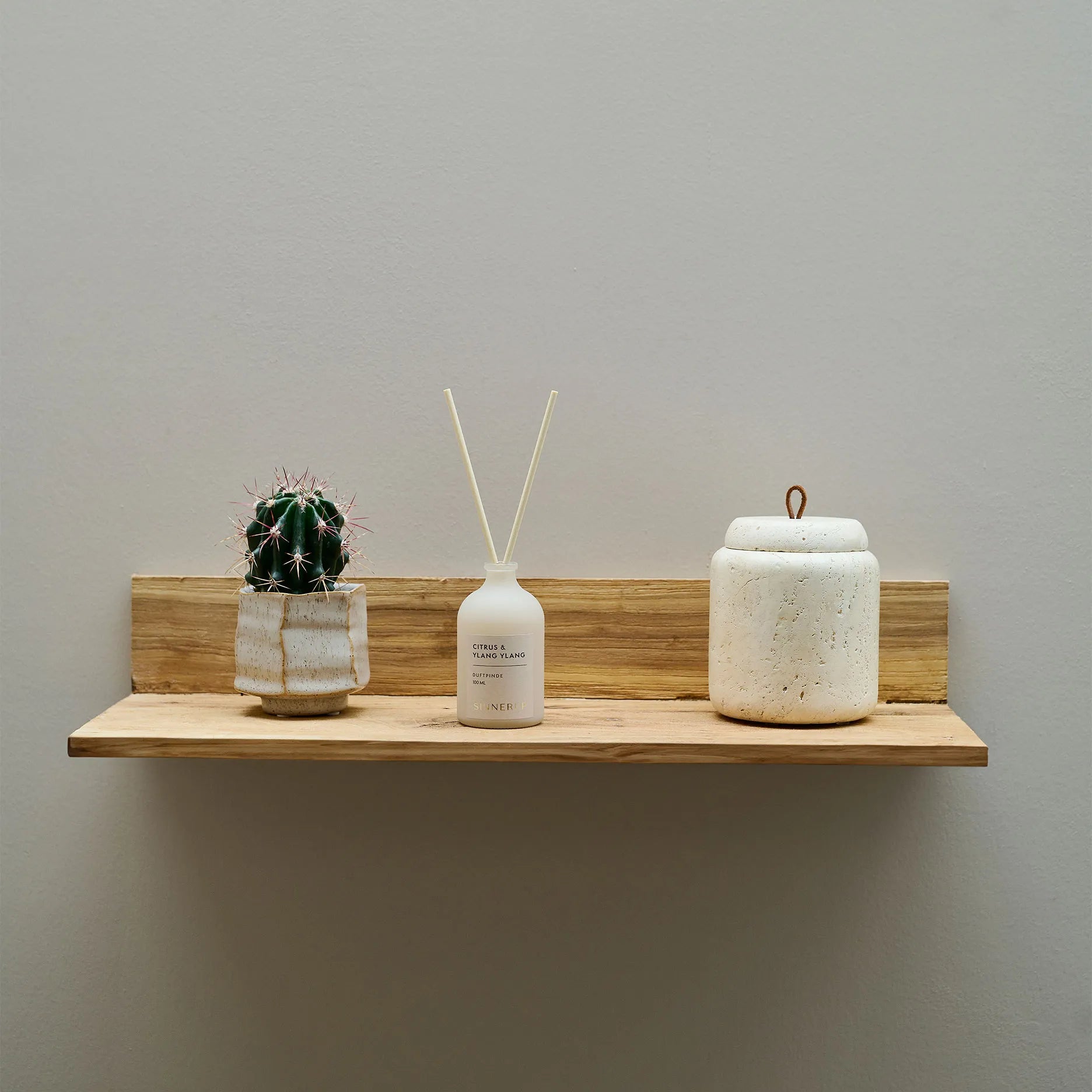 Anakin Regal Ulme L52